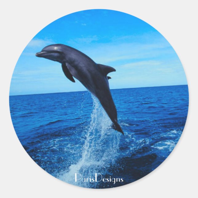 Bottle nose dolphin classic round sticker (Front)