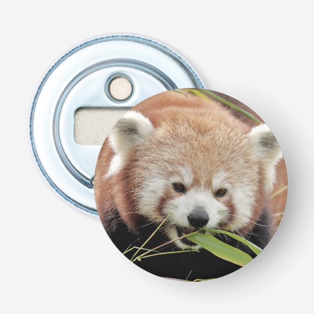 bottle opener Photo red panda , animals 0104. (Front)