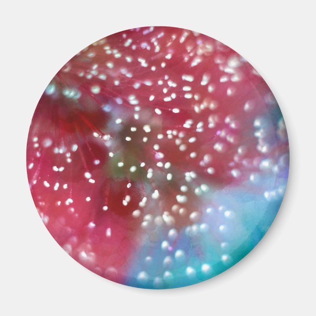 Bottlebrush Flower Abstract Magnet (Front)