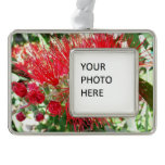 Bottlebrush Flower Red Tropical Floral Christmas Ornament