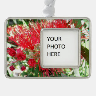 Bottlebrush Flower Red Tropical Floral Christmas Ornament