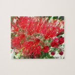 Bottlebrush Flower Red Tropical Floral Jigsaw Puzzle