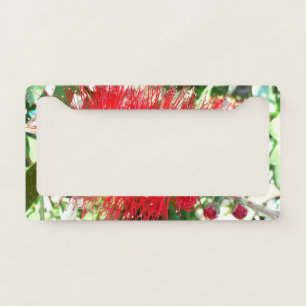 Bottlebrush Flower Red Tropical Floral License Plate Frame