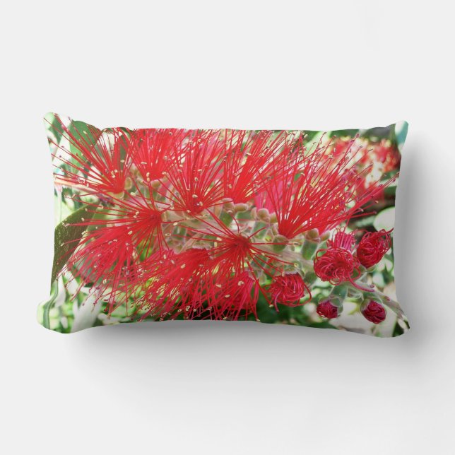 Bottlebrush Flower Red Tropical Floral Lumbar Pillow (Front)