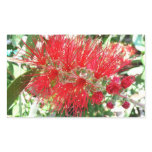 Bottlebrush Flower Red Tropical Floral Rectangular Sticker