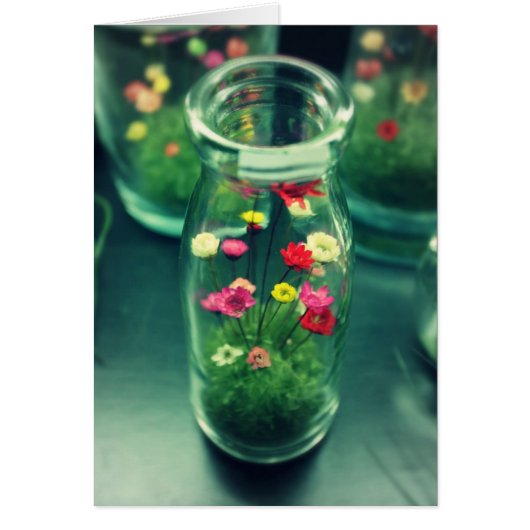Bottled Flowers Cards (Front)
