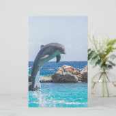 Bottlenose Dolphin (Standing Front)