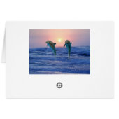 Bottlenose Dolphin at sunrise (Back Horizontal)