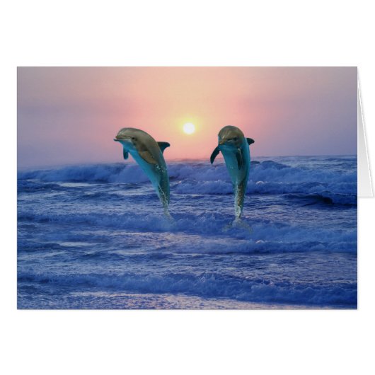 Bottlenose Dolphin at sunrise (Front Horizontal)