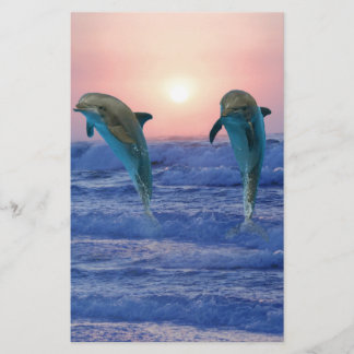 Bottlenose Dolphin at Sunrise