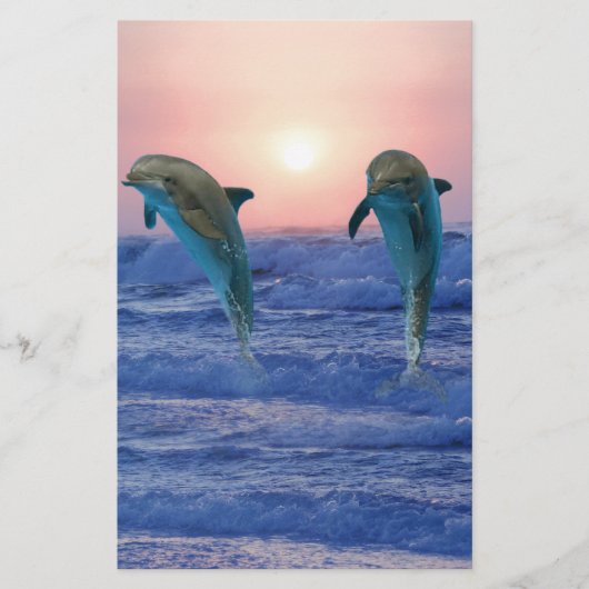 Bottlenose Dolphin at Sunrise (Front)