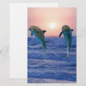 Bottlenose Dolphin at Sunrise (Front/Back)