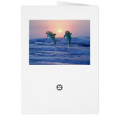 Bottlenose Dolphin at sunrise Cards (Back)