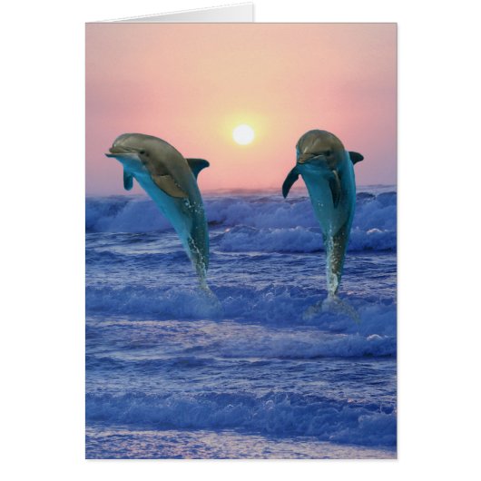 Bottlenose Dolphin at sunrise Cards (Front)