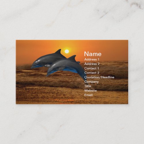 Dolphins at sunset business card