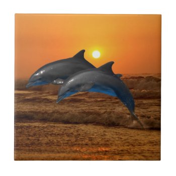 Bottlenose Dolphin At Sunset Ceramic Tile by laureenr at Zazzle