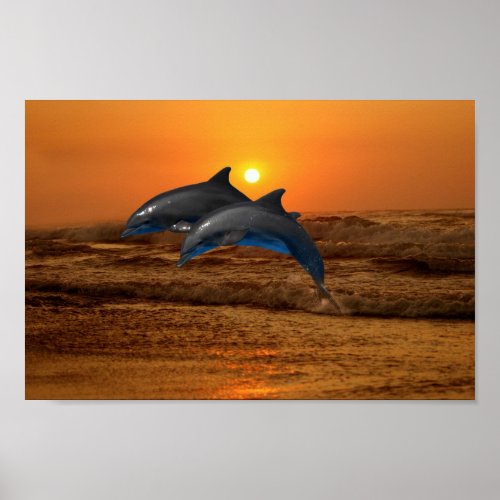Bottlenose Dolphin at Sunset Poster