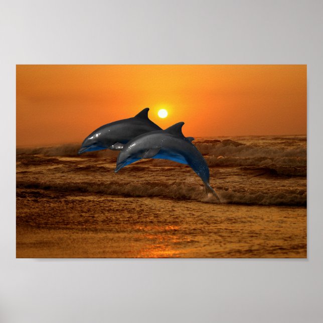Bottlenose Dolphin at Sunset Poster (Front)