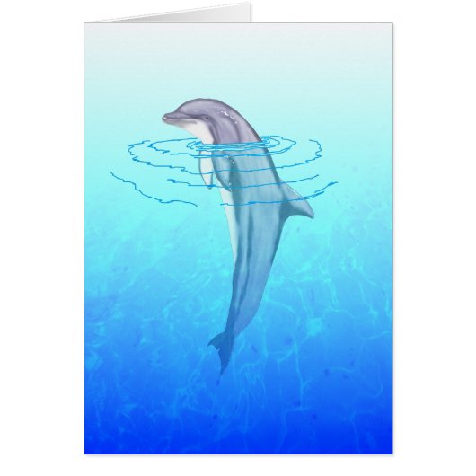 Bottlenose Dolphin Cards (Front)