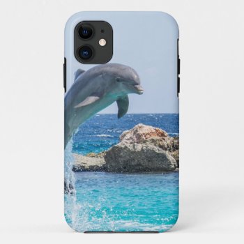 Bottlenose Dolphin Iphone 11 Case by Theraven14 at Zazzle