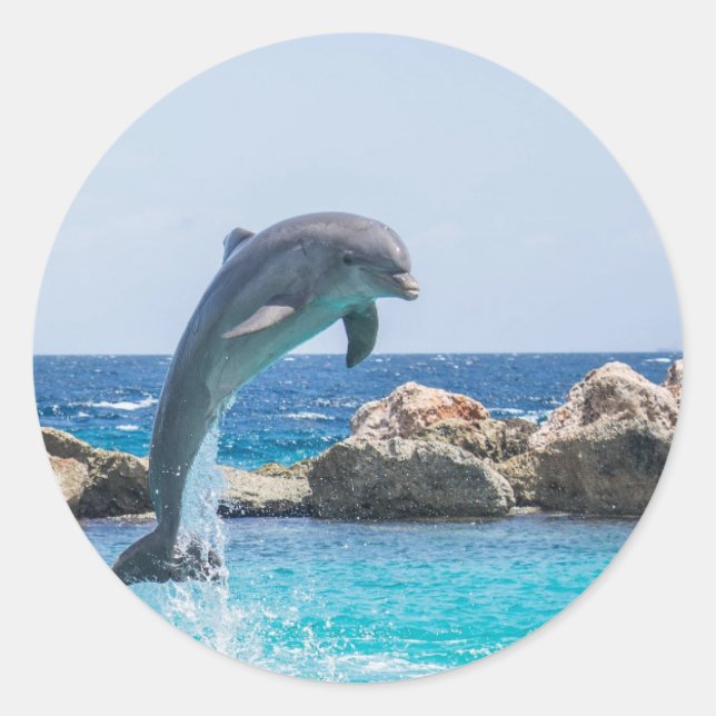 Bottlenose Dolphin Classic Round Sticker (Front)