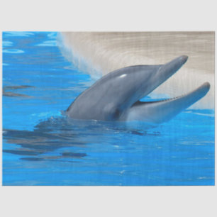 Bottlenose Dolphin Decoupage Tissue Paper