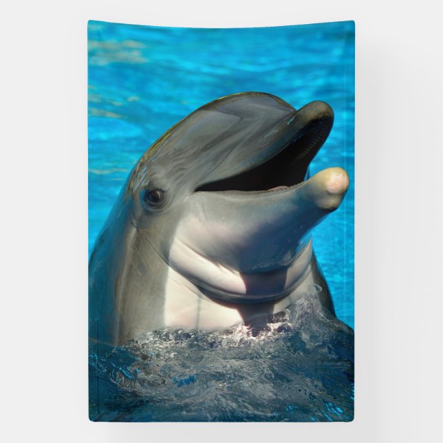 Bottlenose dolphin head Banner (Vertical)