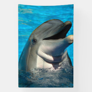 Bottlenose dolphin head Banner