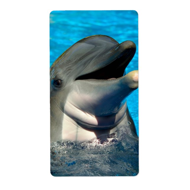 Bottlenose dolphin head label (Front)