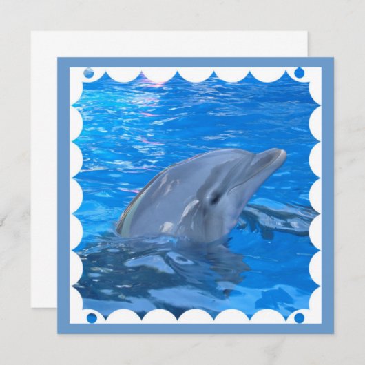 Bottlenose Dolphin Invitation (Front/Back)