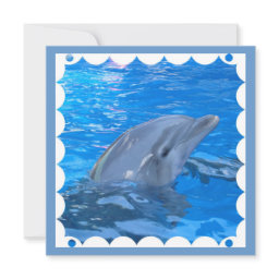 Bottlenose Dolphin Invitation