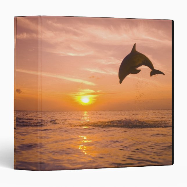 Bottlenose Dolphin jumping 2 Binder (Front/Spine)