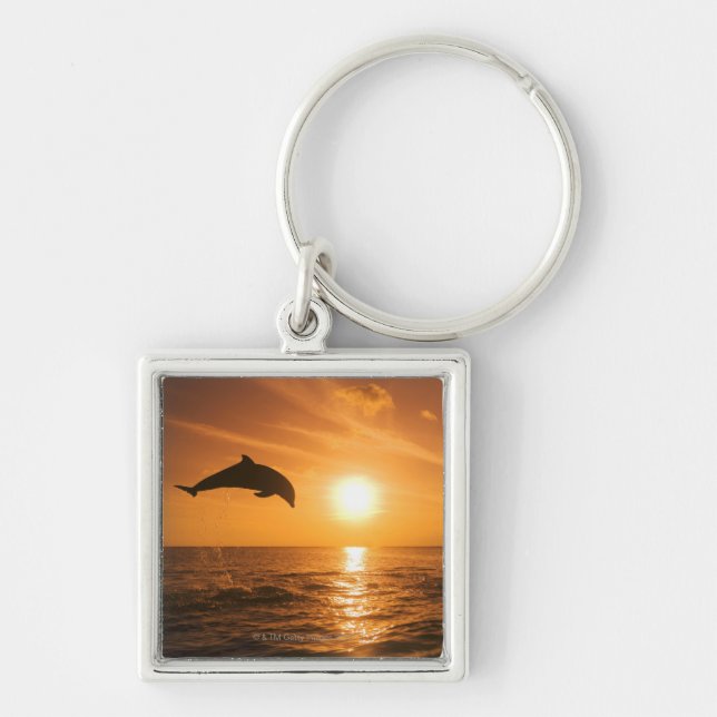 Bottlenose Dolphin jumping Keychain (Front)