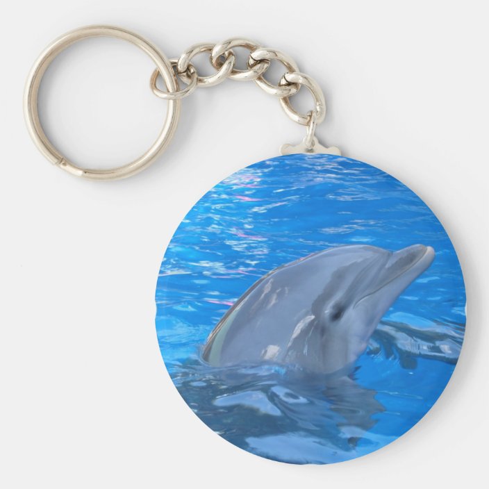 laser dolphin keychain