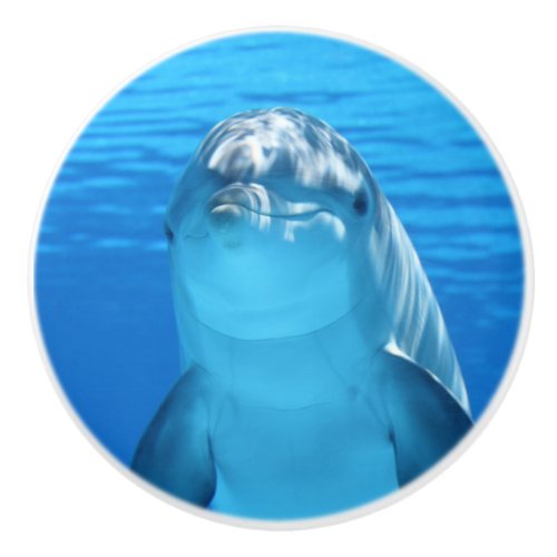 Bottlenose Dolphin looks at the camera under water Ceramic Knob