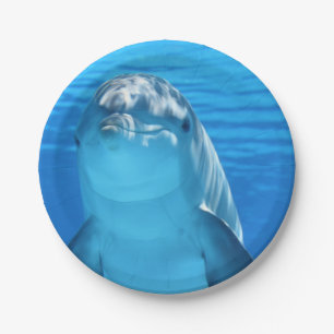Bottlenose Dolphin looks at the camera under water Paper Plates