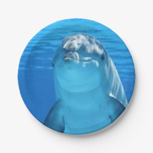 Bottlenose Dolphin looks at the camera under water Paper Plates