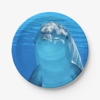 Bottlenose Dolphin looks at the camera under water Paper Plates