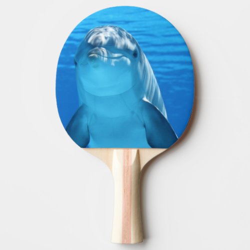 Bottlenose Dolphin looks at the camera under water Ping_Pong Paddle