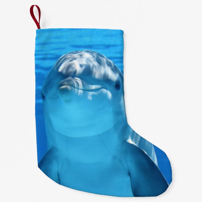 Bottlenose Dolphin looks at the camera under water Small Christmas Stocking (Front)