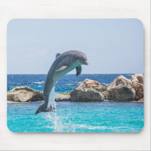 Bottlenose Dolphin Mouse Pad