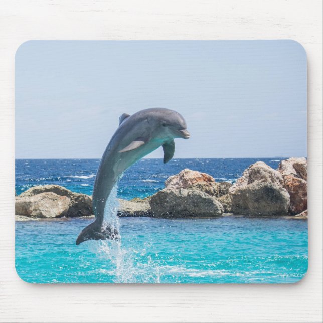 Bottlenose Dolphin Mouse Pad (Front)