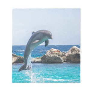 Bottlenose Dolphin Notepad