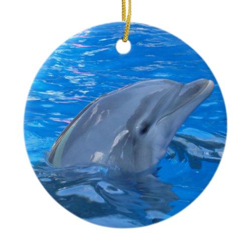 Bottlenose Dolphin Ornament