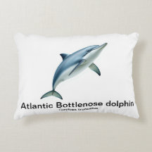 Bottlenose dolphin pillow