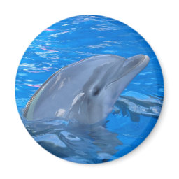 Bottlenose Dolphin Round Magnet