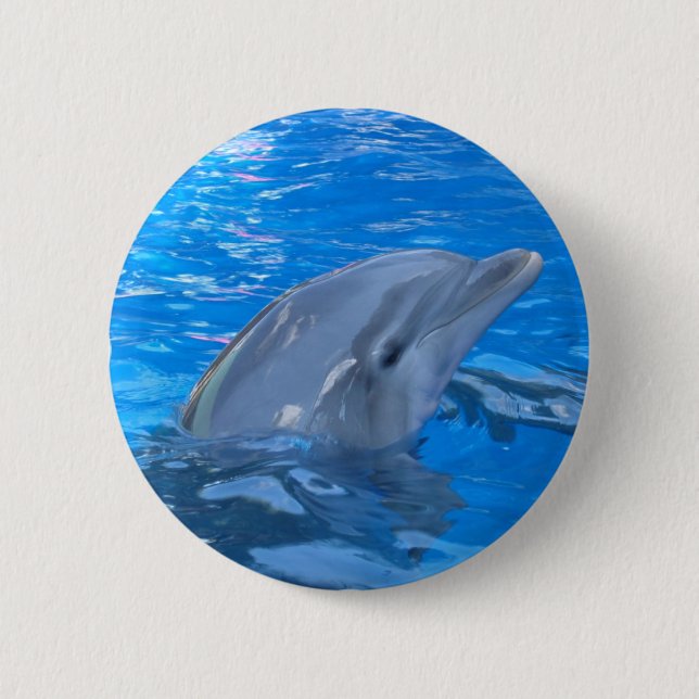 Bottlenose Dolphin Round Pin (Front)