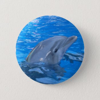 Bottlenose Dolphin Round Pin by WildlifeAnimals at Zazzle