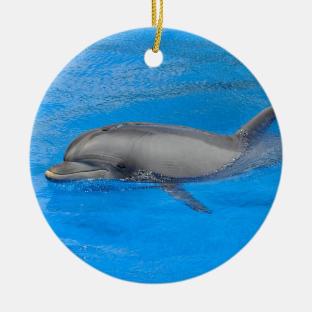 Bottlenose dolphin swimming ceramic ornament (Front)