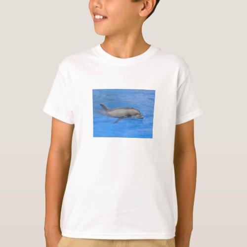 Bottlenose dolphin swimming T_Shirt